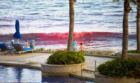 Shocking: Sea Turns To Blood In China!
(Photo)