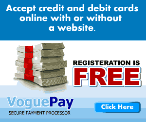VoguePay Lets You Receive Payments Online For Your Small Businesses