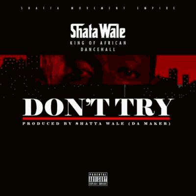 DOWNLOAD Shatta Wale – “Don’t Try” (Criss Waddle Diss) mp3