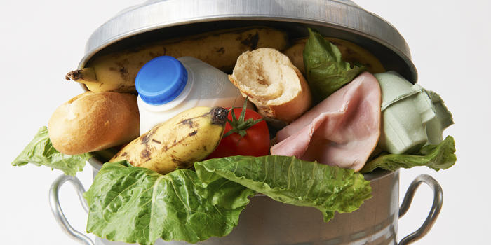 Netherlands’ Food Waste Still Too High At 2 Billion Kg Per Year