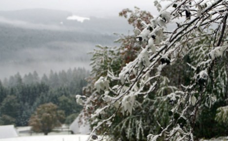 South Germany sees first snowfall of season as cold bite sets in