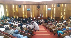 Senate Finally Amends Code Of Conduct Bill