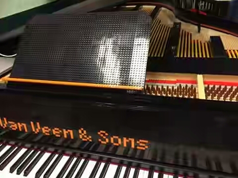 Dutch composer builds grand piano with 30,000 lego pieces