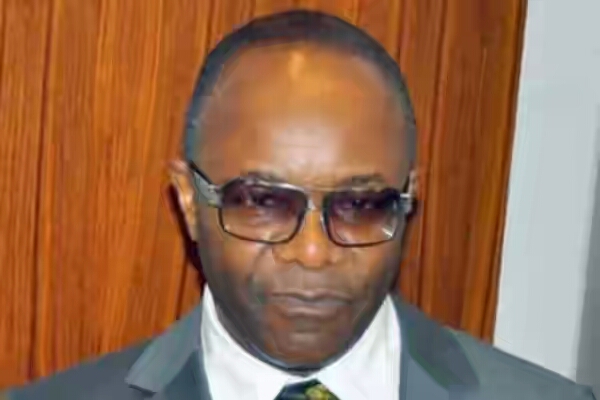 Refineries may become scrap once Dangote’s begins production – Kachikwu