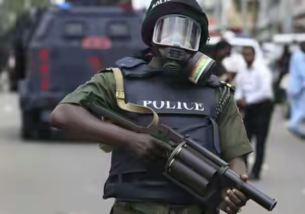 Police foil attempt to kidnap UK returnee, kill three