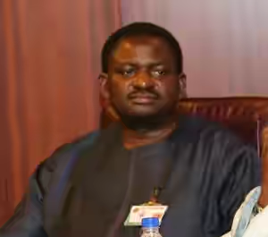 FG negotiating release of more Chibok girls –Adesina