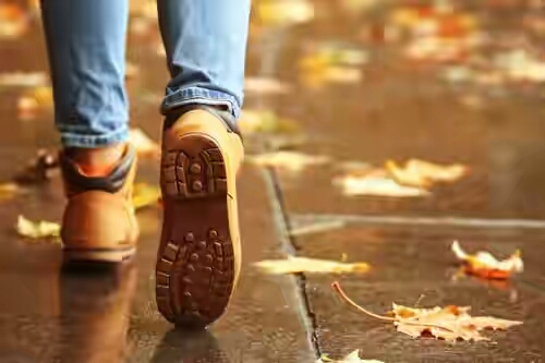 Amsterdam to ban hissing, rude gestures and wolf-whistles on the street