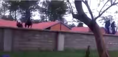 Over 100 Patients Escape Kenya’s Mental Hospital As Doctors Begin Strike