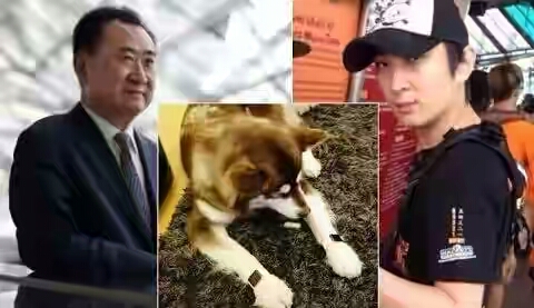 Only Son of China’s richest man says he is not interested in inheriting his father’s $122bn business empire