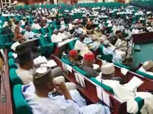 Reps debate Adeboye, church leaders’ tenure code today