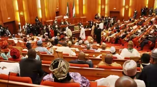 BREAKING: Senate rejects ban on importation of cars through land borders