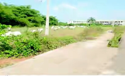 Benue endorses anti-grazing law, wants ranches established by individuals