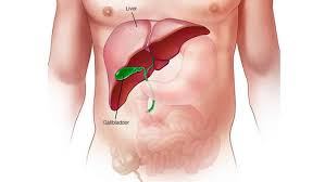 6 Signs Your Liver is Failing