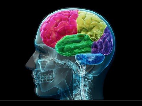 8 habits that harm your brain