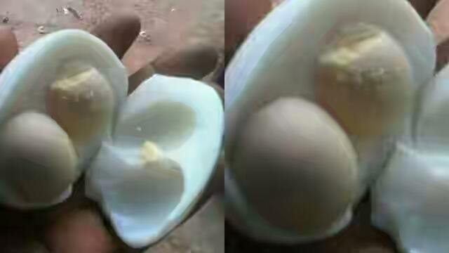 Nigerians, Have You Ever Seen An Egg With Two Yolks?