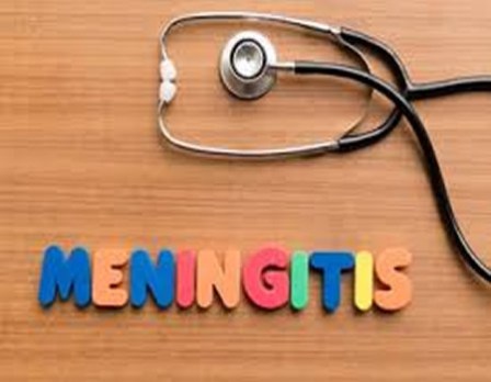 FG Warns Against Handshake, Kissing As Meningitis Spreads To Lagos, Osun: Death Toll Hits 328