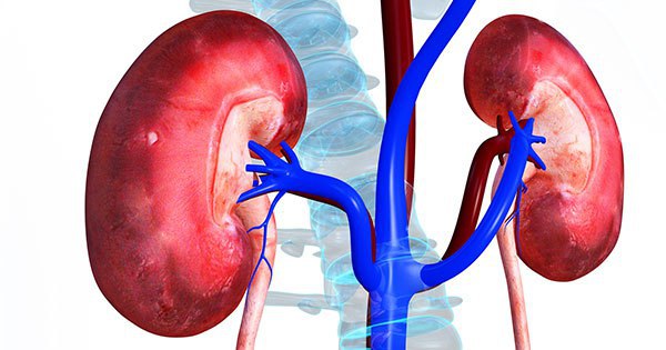 MUST READ: Simple Ways To Protect Your Kidneys