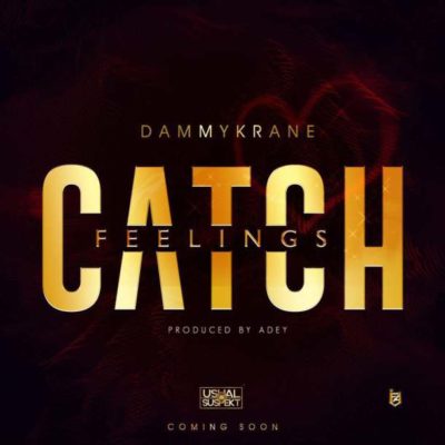 DOWNLOAD: Dammy Krane – Catch Feelings