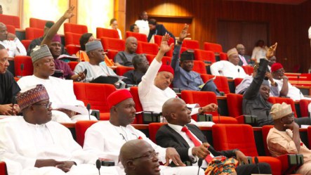 “Every senator in Nigeria earns N29m a month, N3bn per annum” — Itse SaGaey says