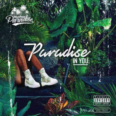 DOWNLOAD ALBUM: PalmTree Paradise – Paradise In You