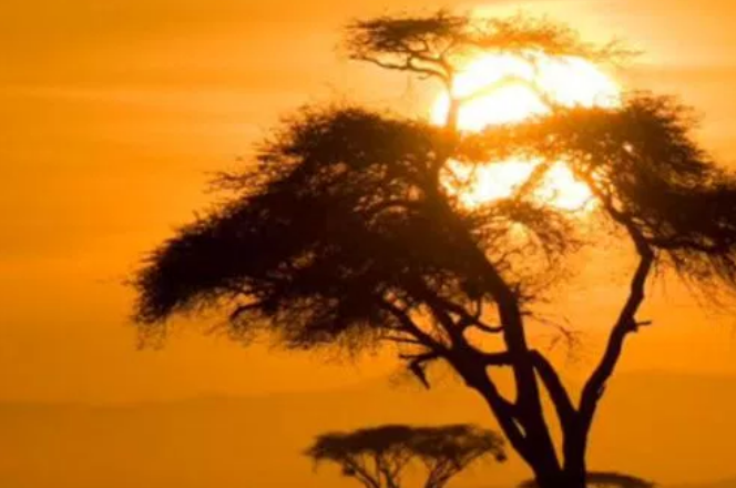 MP3: Culoe De Song – No Contest (Culoe Guitar Edit)