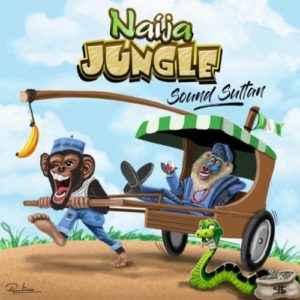 DOWNLOAD MP3: Sound Sultan – Naija Jungle