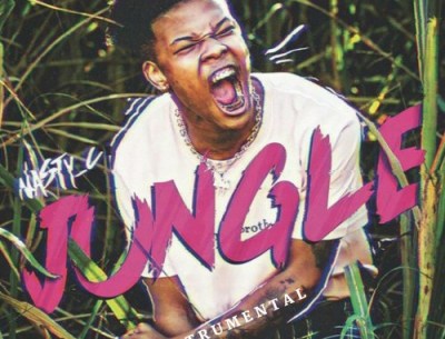 DOWNLOAD: Nasty C – Jungle (Instrumental)