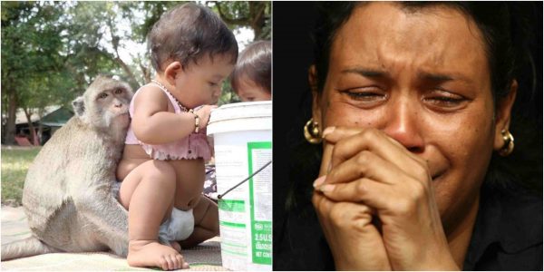 12-day-old baby dies after monkey snatched it from mother