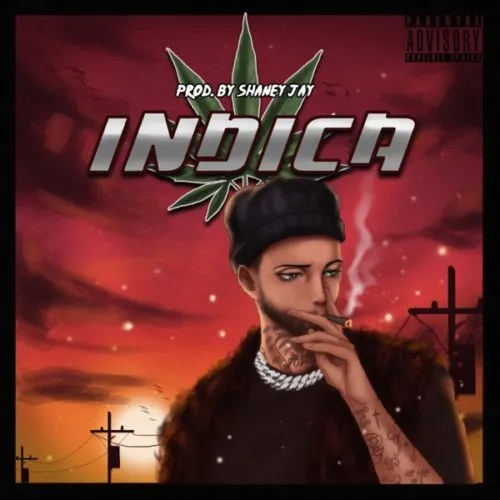 DOWNLOAD Chad Da Don – Indica EP mp3