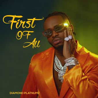 DOWNLOAD Diamond Platnumz – Somebody mp3