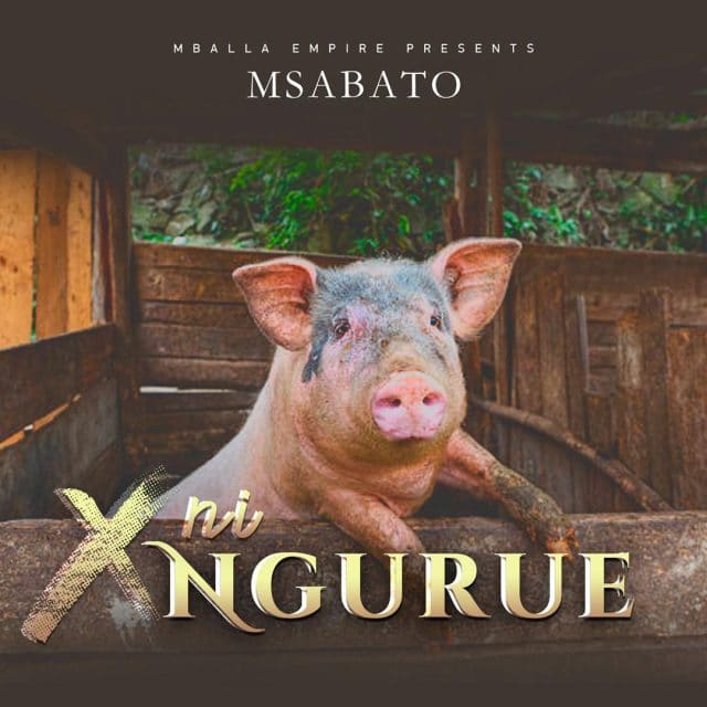 DOWNLOAD Msabato – X Ni Nguruwe mp3