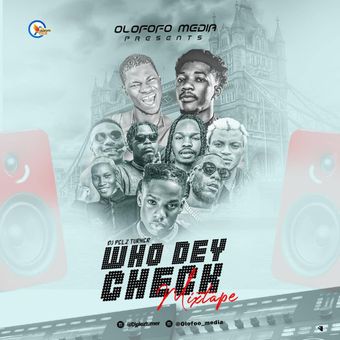 DOWNLOAD Dj Pelz Turner – Who Dey Check Mix (2022) mp3