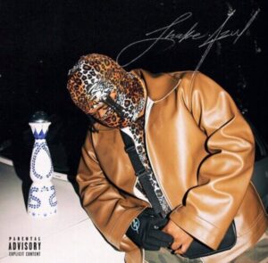 DOWNLOAD 031choppa – We Sisi mp3