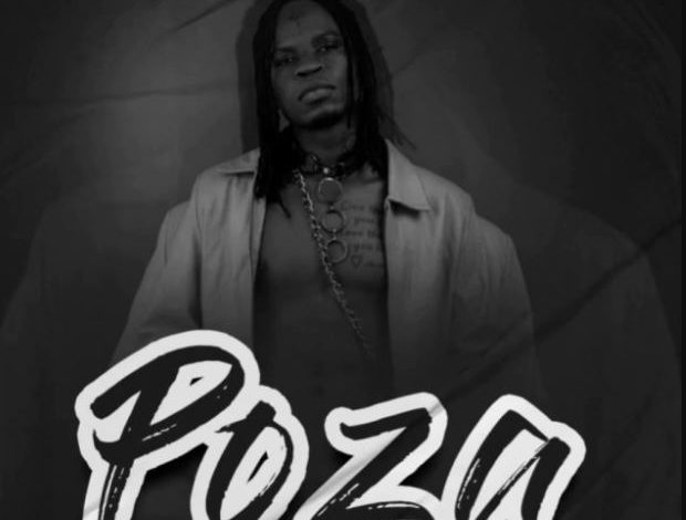 DOWNLOAD Geniusjini x66 – Poza mp3