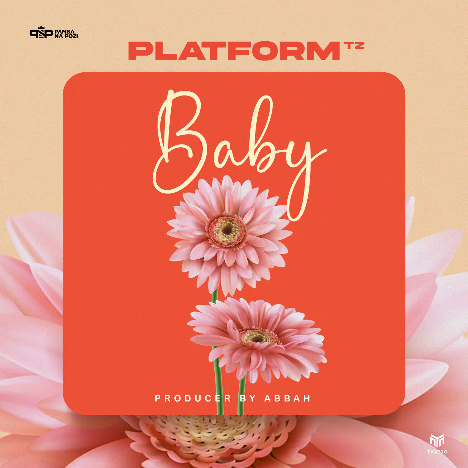 DOWNLOAD Platform Tz – Baby mp3