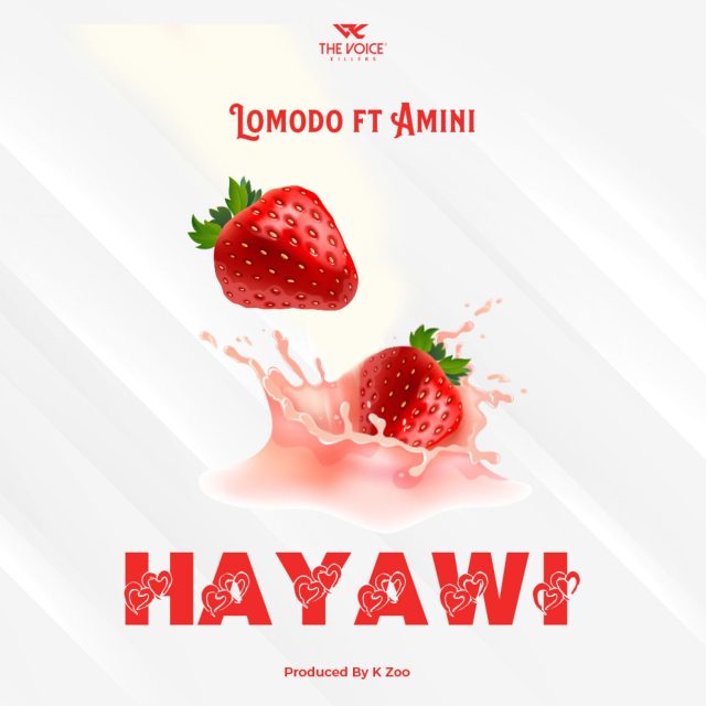 DOWNLOAD Lomodo Ft. Amini – HAYAWI mp3