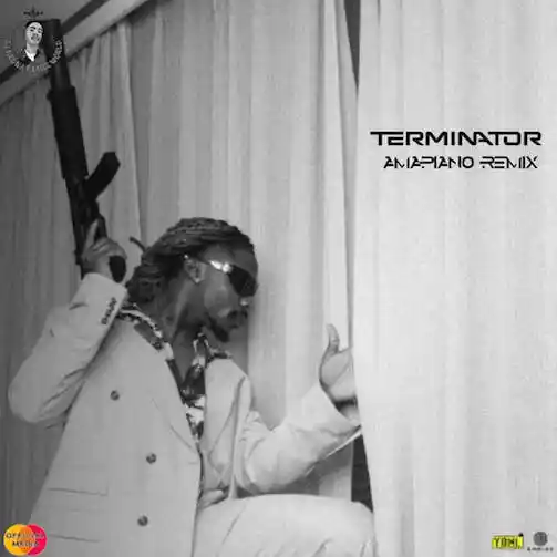 DOWNLOAD DJ Medna – Terminator (Amapiano Remix) Ft. Asake mp3