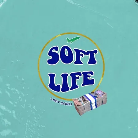 DOWNLOAD Lady Donli – Soft Life mp3