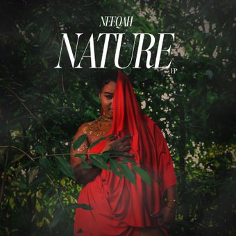 DOWNLOAD Neeqah – Dont Size Up mp3