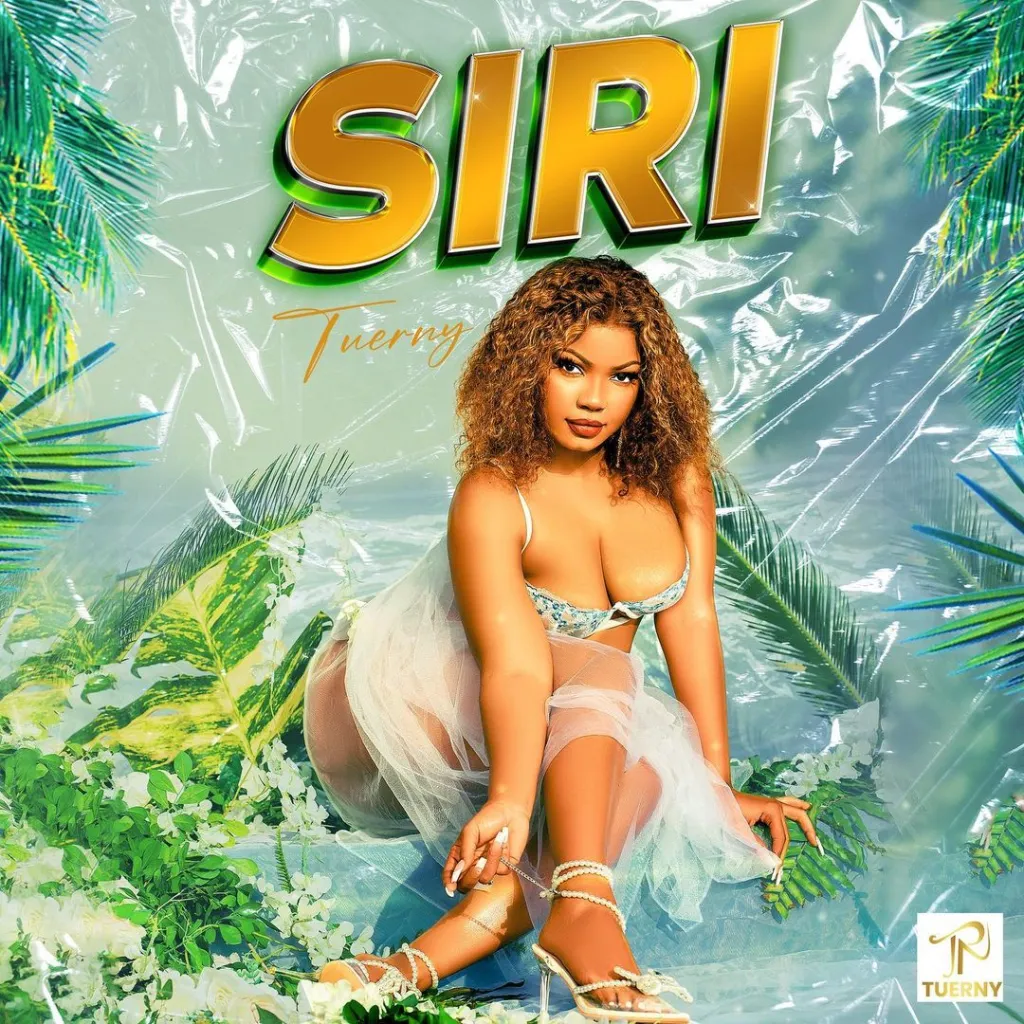 DOWNLOAD Tuerny – Siri mp3