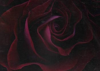 DOWNLOAD Chris Brown – Him Or Me mp3