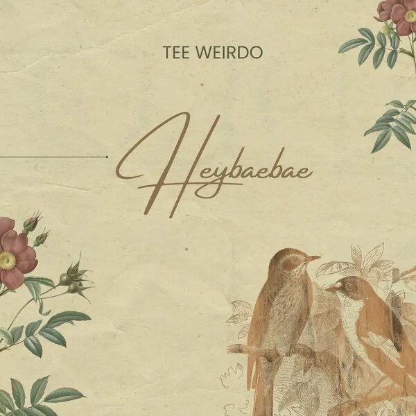 DOWNLOAD Tee Weirdo – Heybaebae mp3