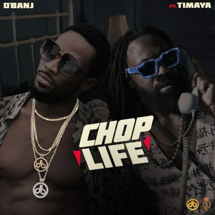 DOWNLOAD D’banj Ft. Timaya – Chop Life mp3