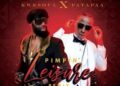 DOWNLOAD Kwesoul – Pimpin Leisure Remix Ft Patapaa mp3