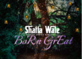 DOWNLOAD Shatta Wale – Born Great mp3
