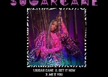 DOWNLOAD Tiwa Savage – Ma Lo ft. Wizkid & Spellz mp3