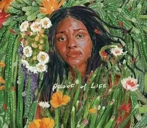 DOWNLOAD Joy Oladokun – Were All Gonna Die ft Noah Kahan mp3