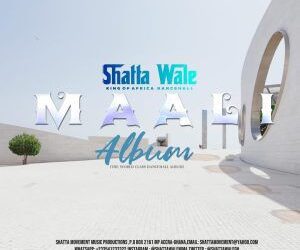 DOWNLOAD Shatta Wale – Inna Real Life mp3