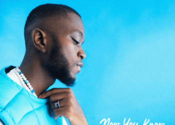 DOWNLOAD Mizzle – Too Sure Ft. Odumodublvck mp3