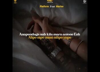 DOWNLOAD Platform & Marioo – Ananipenda mp3